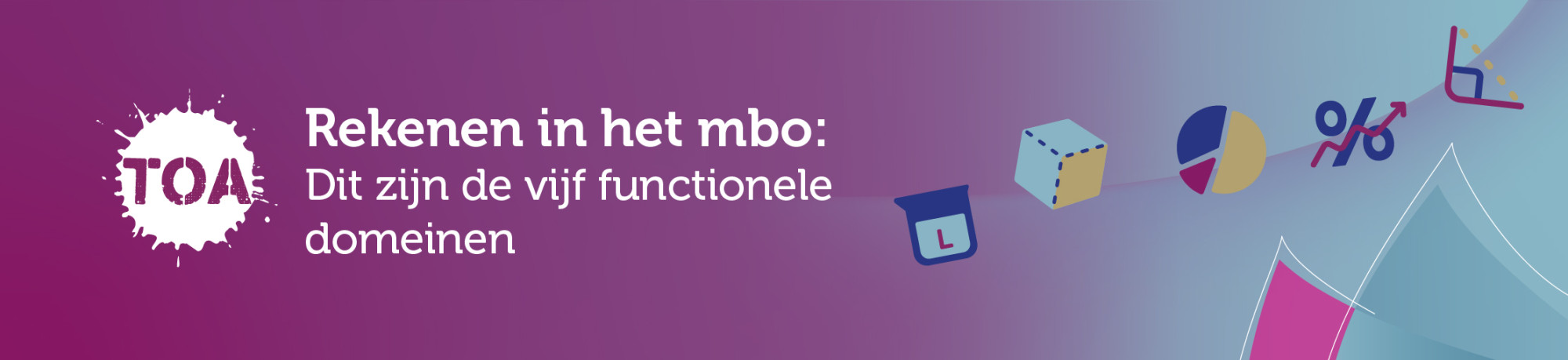 TOA Rekenen in het mbo, de 5 functionele domeinen