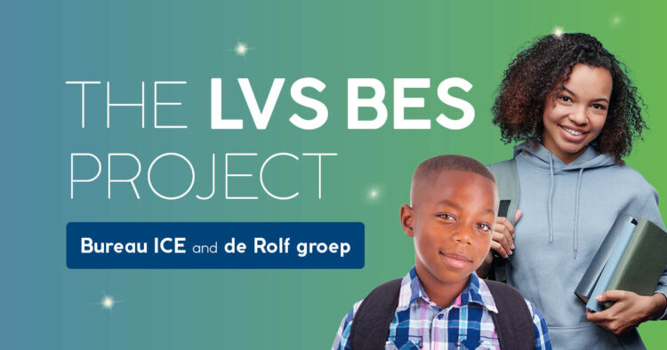 The LVS BES project (ENG)