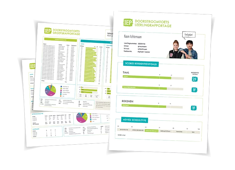 IEP DST rapportages